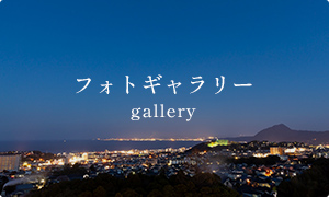 フォトギャラリー